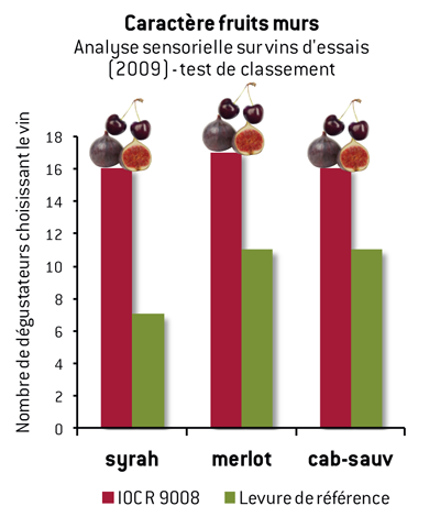 Graphique 3